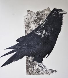 a black bird sitting on top of a piece of paper next to a white wall