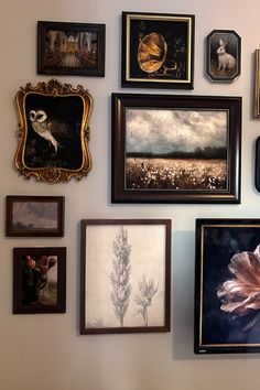 a wall with many framed pictures on it