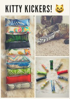 there is a collage of pictures with cats and kittens on it, including catnip toys