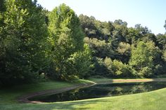 a pond in the middle of a lush green field with lots of trees around it