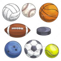 various types of sports balls and equipment