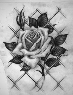 a drawing of a rose with leaves on it