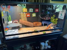 a fish tank filled with lots of different types of items