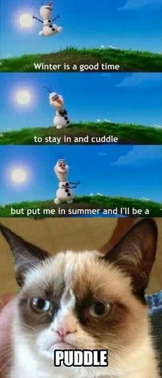 the snowman from disney's frozen world is shown with captioning that reads, winter is a good time to stay in and cuddle but put me in summer and i'll'll'll be a happy