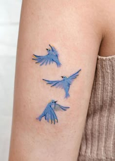 two blue birds on the arm