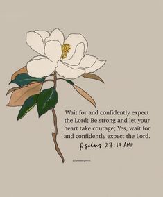 a white flower with a bible verse written on it's back side and the words wait for and confidently expect