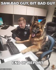 a man sitting at a desk with a dog in front of him and the caption says saw bad guy, bit bad guy end of report