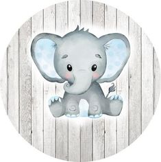 a baby elephant sitting on top of a wooden floor next to a white board wall