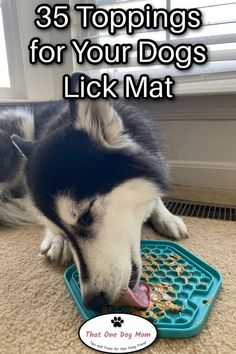 a black and white dog eating food out of a blue bowl with the words, 35 toppings for your dogs lick mat