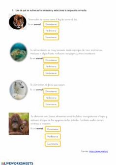 an animal worksheet with pictures of animals and their names in yellow text on the bottom right corner