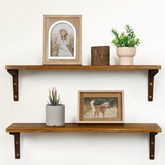 two wooden shelves with pictures and plants on them