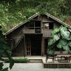 a wooden house surrounded by lush green trees and plants in the foreground, with stairs leading up to it