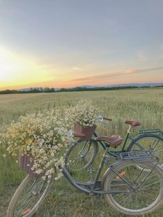 two bicycles parked next to each other in a field with wildflowers at sunset