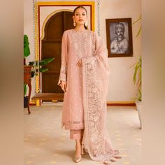 New Chiffon Shirt Organza Dupatta Raw Silk Pants Raw Silk Pants, Organza Dupatta, 3 Piece Suits, Silk Pants, Chiffon Shirt, Raw Silk, 3 Piece, Pink Ladies, Chiffon