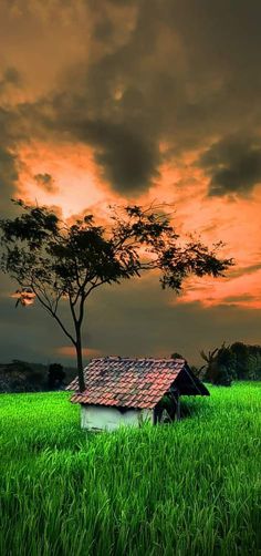 a house sitting in the middle of a lush green field under a cloudy sky at sunset