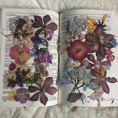 an open book with pressed flowers on it