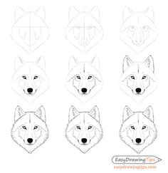 how to draw a wolf's head with different angles and eyes step by step