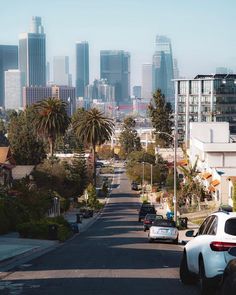 cars are parked on the street in front of tall buildings and palm trees with skyscrapers in the background