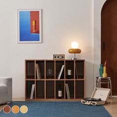 a living room filled with furniture and a book shelf on top of a blue rug