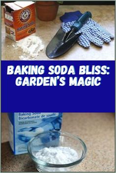 baking soda bliss garden's magic with gloves and cloths on the counter top