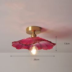 a ceiling light with a pink flower on it's side and measurements for the fixture