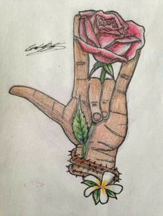 a drawing of a person's hand holding a rose