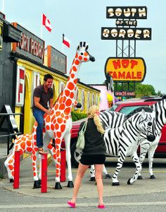 a woman standing in front of some fake zebras and giraffes on the street