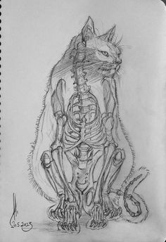 a drawing of a cat sitting next to a skeleton