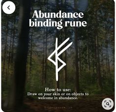 an image of a sign that says abundance binding rune