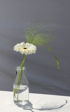 a white flower in a clear glass vase with water and grass on the table next to it