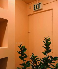 an exit sign above a plant in a bathroom