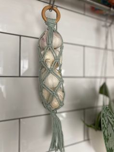 some sea shells hanging from a hook on a tile wall