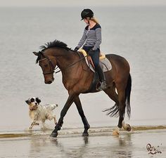 a woman riding on the back of a brown horse next to a dog