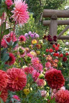 a garden filled with lots of flowers next to a wooden fence