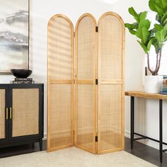 a room divider made out of bamboo with a potted plant in the corner