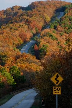 a winding road surrounded by trees with fall foliage on the hillside in the back ground