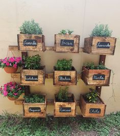 several wooden boxes with plants in them sitting on the ground