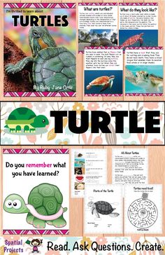 a poster with turtles and other animals on it