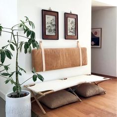 a living room with a couch and potted plant on the floor next to it