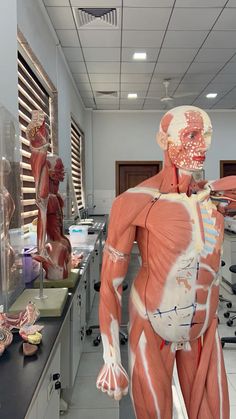 an image of a man with muscles on display in a room full of medical equipment