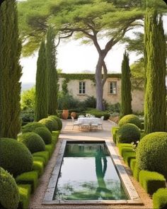 an outdoor pool surrounded by trees and bushes