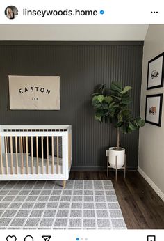 a baby's room with a crib, rug and potted plant