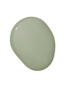 an oval light green color on a white background, with the top half painted off