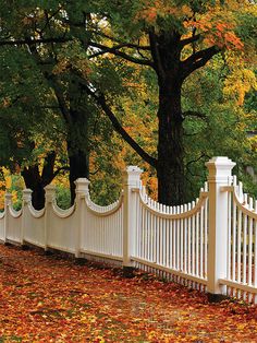 Autumn White Fence Photography Backdrop - Autumn-themed photography backdrop with a white fence Fence Photography, England Autumn, Autumn Photos, Photography Settings, Printed Photo, White Picket Fence, Autumn Scenes, Printed Backdrops