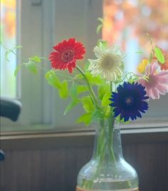 a vase filled with colorful flowers sitting on top of a table next to a window