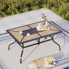 a dog laying on a rug in front of a coffee table