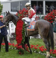 a jockey riding on the back of a brown horse next to a red rose bush