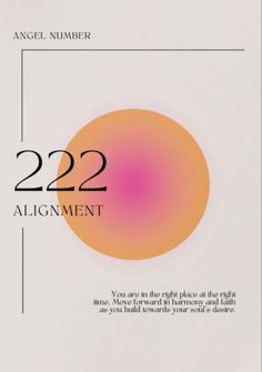 an orange and pink circle with the number 22 on it's side, in front of a white background