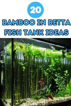 an aquarium with bamboo plants and fish in it that says 20 bamboo in betta fish tank ideas