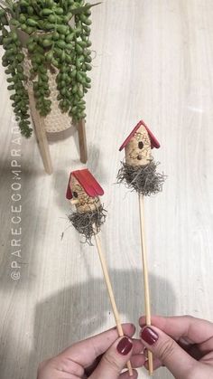 someone is holding two little bird houses on toothpicks in front of a potted plant